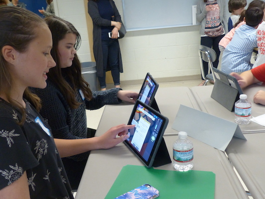 P1070055 (05-03-2017 19:32)