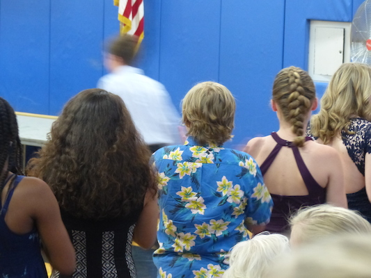 P1070069 (06-21-2017 18:46)