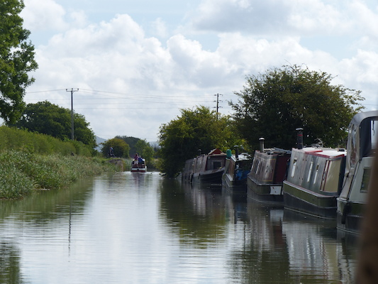 P1070075 (08-06-2017 05:03)