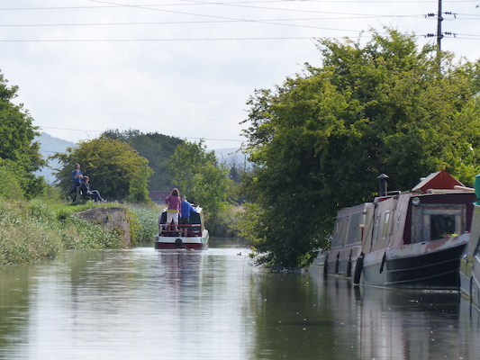 P1070076 (08-06-2017 05:03)