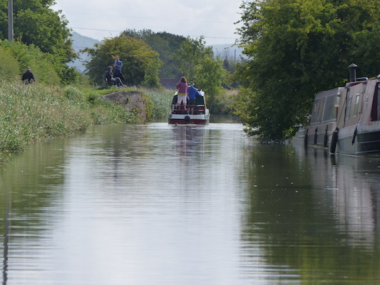 P1070077 (08-06-2017 05:03)