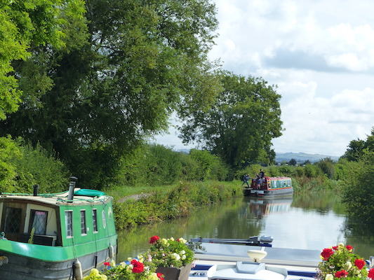 P1070079 (08-06-2017 05:20)