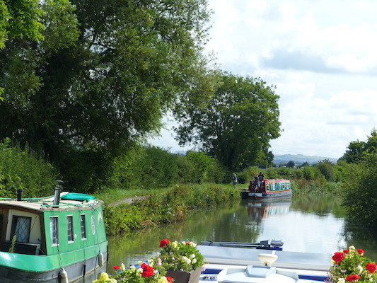 P1070080 (08-06-2017 05:20)