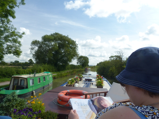 P1070081 (08-06-2017 05:21)