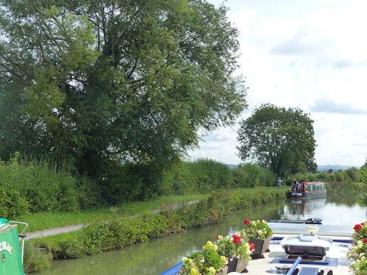 P1070082 (08-06-2017 05:21)