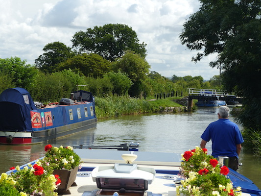 P1070084 (08-06-2017 05:59)