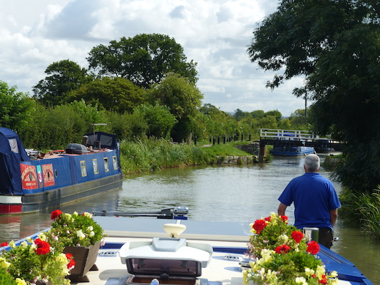 P1070085 (08-06-2017 05:59)