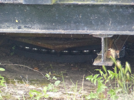 P1070094 (08-06-2017 06:02)