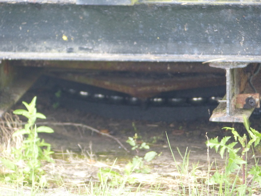 P1070095 (08-06-2017 06:02)