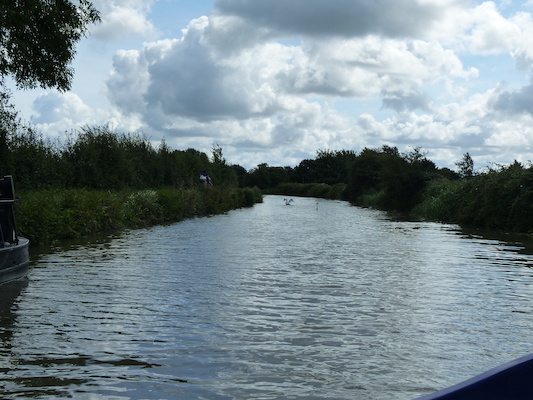 P1070097 (08-06-2017 06:06)