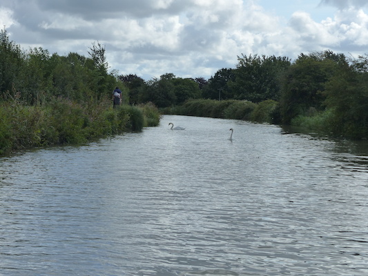 P1070099 (08-06-2017 06:06)