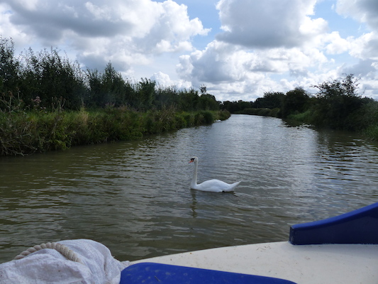 P1070102 (08-06-2017 06:06)