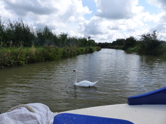 P1070103 (08-06-2017 06:06)