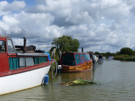 P1070104 (08-06-2017 06:10)