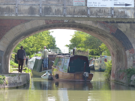 P1070108 (08-06-2017 06:27)