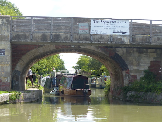 P1070109 (08-06-2017 06:27)