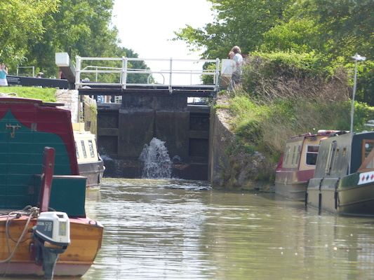 P1070111 (08-06-2017 06:27)