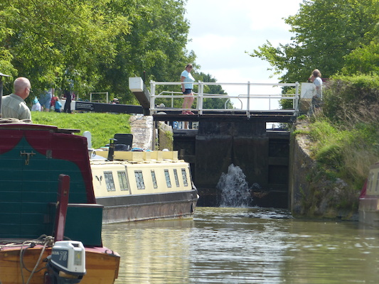 P1070112 (08-06-2017 06:27)