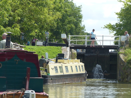 P1070113 (08-06-2017 06:27)