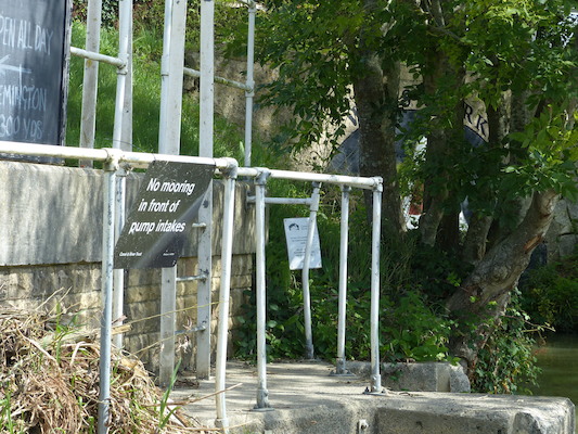 P1070114 (08-06-2017 06:29)