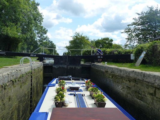 P1070118 (08-06-2017 06:50)