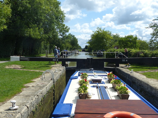 P1070119 (08-06-2017 06:51)