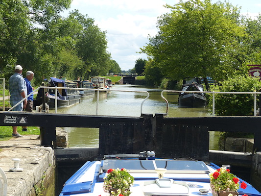 P1070120 (08-06-2017 06:51)