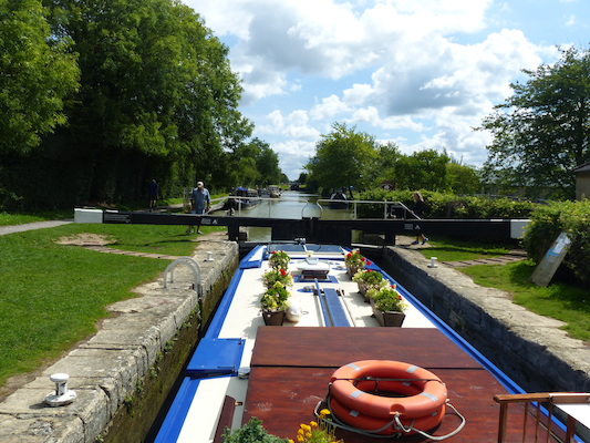 P1070122 (08-06-2017 06:51)