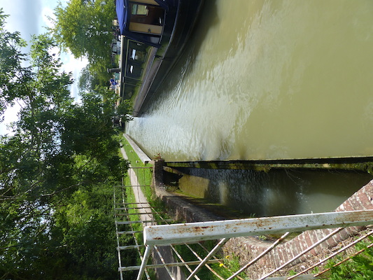 P1070124 (08-06-2017 06:56)