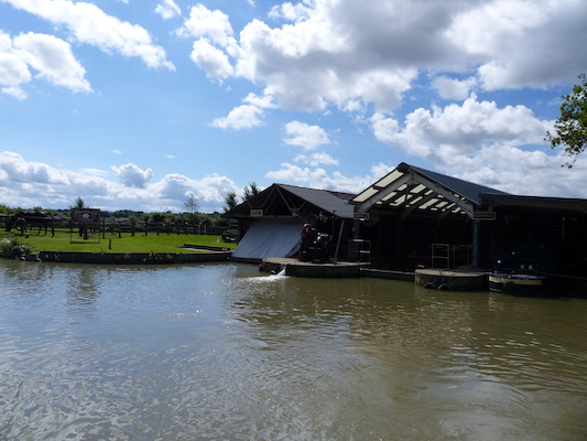 P1070127 (08-06-2017 06:57)