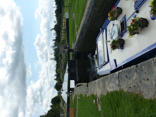 P1070131 (08-06-2017 07:00)