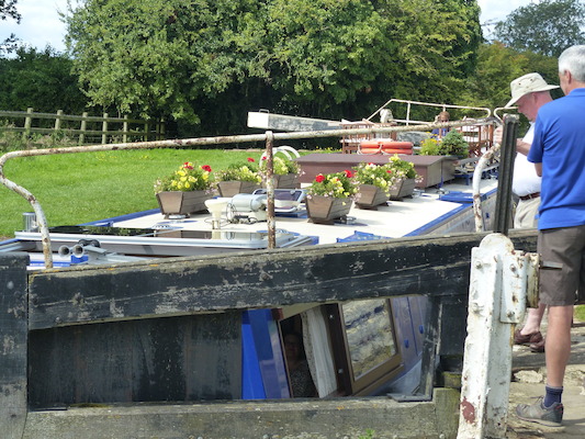 P1070139 (08-06-2017 07:02)