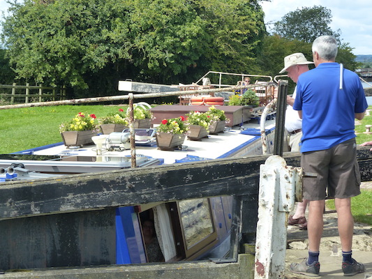 P1070140 (08-06-2017 07:02)