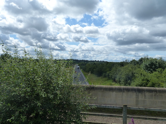 P1070145 (08-06-2017 07:09)