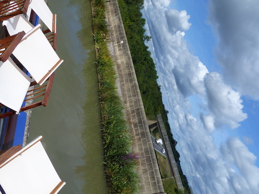 P1070146 (08-06-2017 07:09)