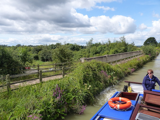 P1070147 (08-06-2017 07:10)