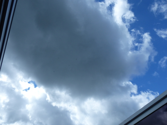 P1070148 (08-06-2017 07:18)