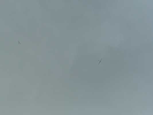 P1070149 (08-06-2017 07:18)