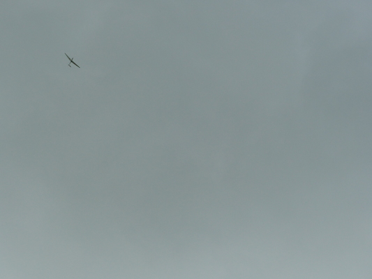 P1070150 (08-06-2017 07:18)