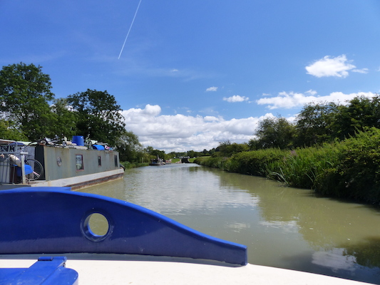 P1070153 (08-06-2017 07:50)