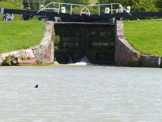 P1070156 (08-06-2017 12:49)