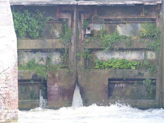 P1070163 (08-06-2017 12:54)