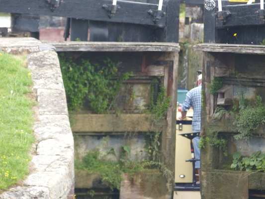 P1070164 (08-06-2017 13:34)