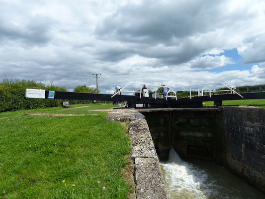 P1070175 (08-06-2017 13:39)