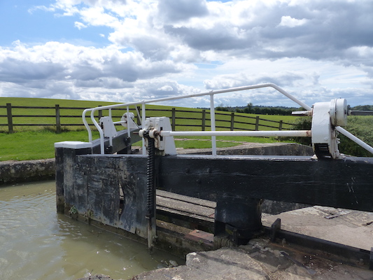 P1070179 (08-06-2017 13:40)