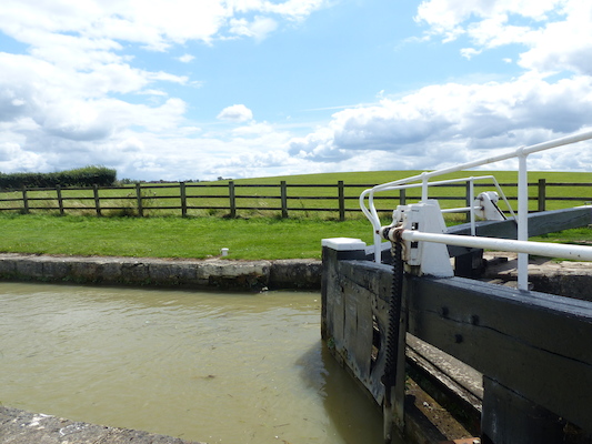 P1070182 (08-06-2017 13:40)