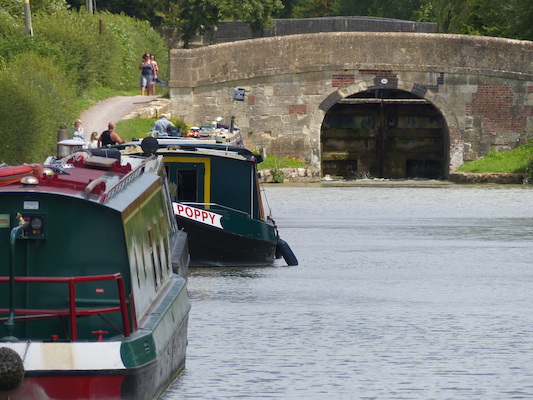 P1070193 (08-06-2017 13:50)