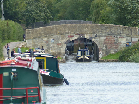 P1070199 (08-06-2017 13:54)