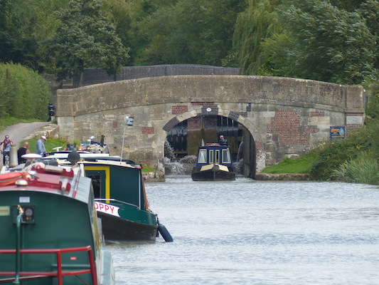 P1070200 (08-06-2017 13:54)