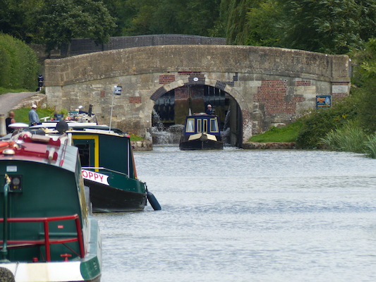 P1070201 (08-06-2017 13:54)